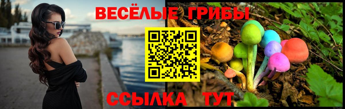 Моздок  Псилоцибиновые грибы MAGIC MUSHROOMS  Вход с VPN 