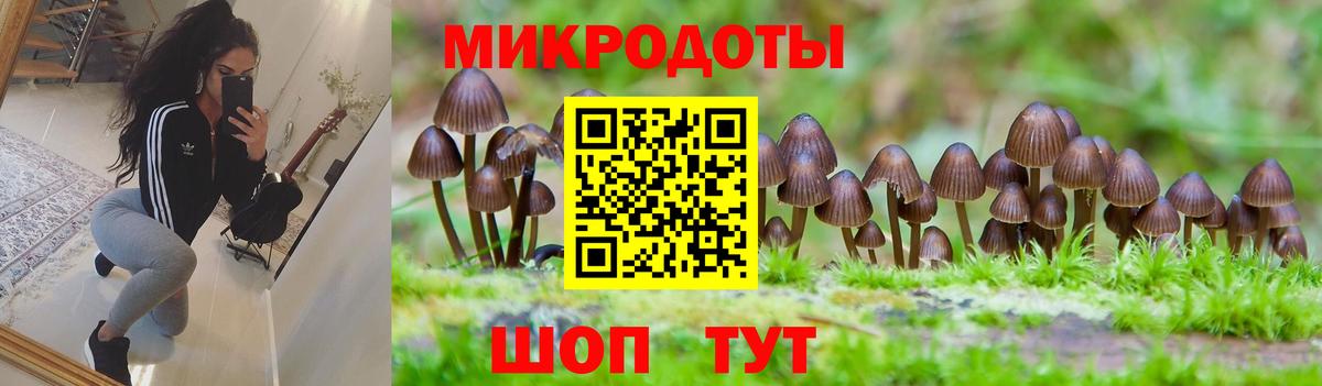 Псилоцибиновые грибы GOLDEN TEACHER Моздок